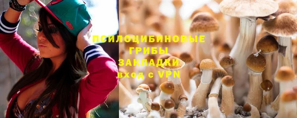 тгк Ладушкин
