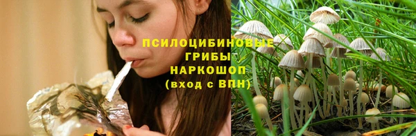 тгк Ладушкин