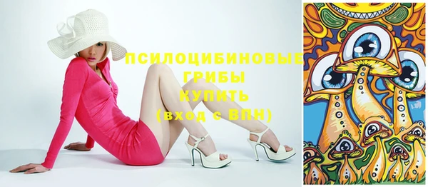 тгк Ладушкин