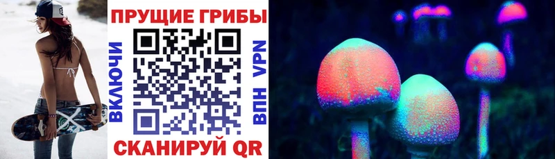 Галлюциногенные грибы Psilocybe  Купить  Котельниково 